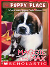 Cover image for Maggie and Max